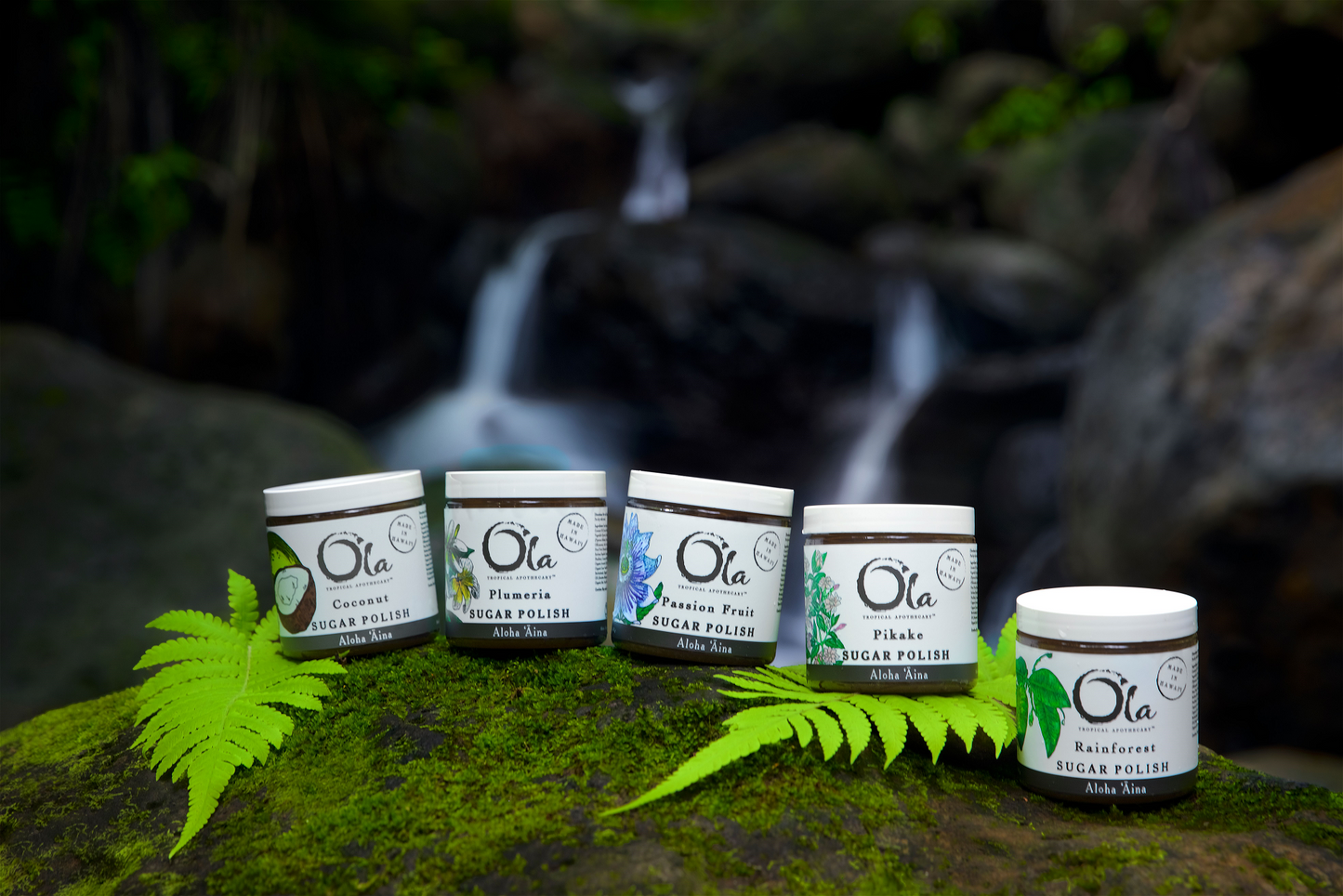 【Ola_2025】シュガーポリッシュ (レインフォレスト) 325g